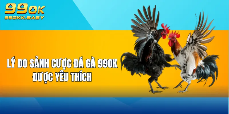 Lý do sảnh cược đá gà 99OK được yêu thích