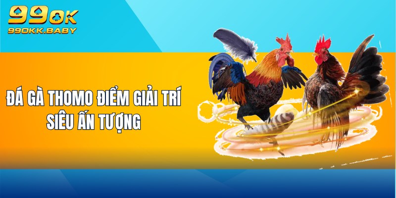 Đá gà Thomo điểm giải trí siêu ấn tượng