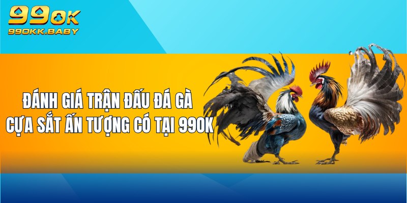 Đánh giá trận đấu đá gà cựa sắt ấn tượng có tại 99OK