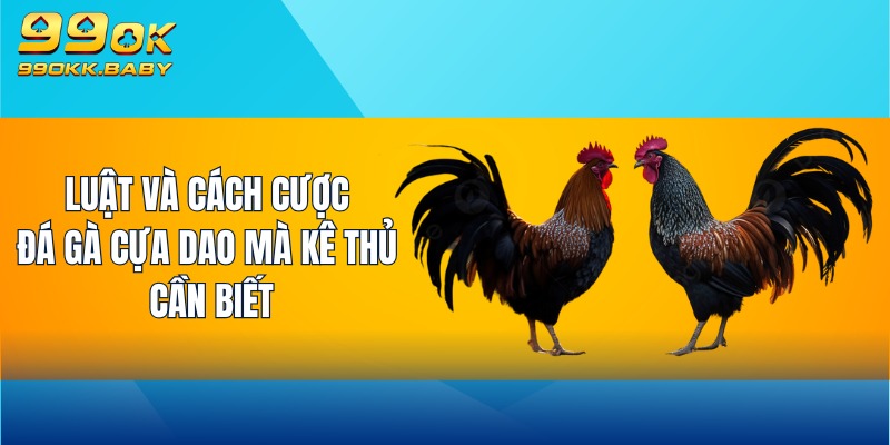 Luật và cách cược đá gà cựa dao mà kê thủ cần biết