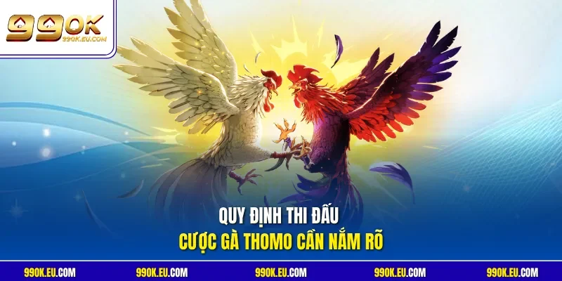 Quy định thi đấu cược gà Thomo cần nắm rõ